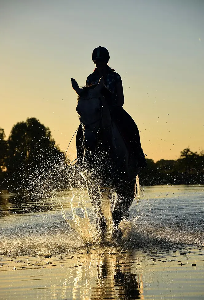 Equestra - Réalisation Nukium